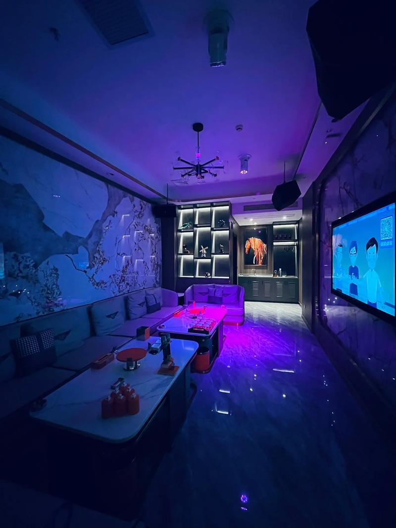 重庆商务ktv全新玩法-城口县ktv预定